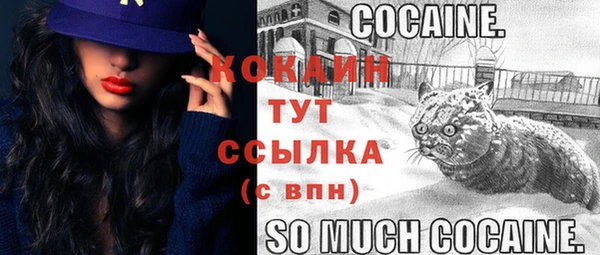 круглые Каменногорск
