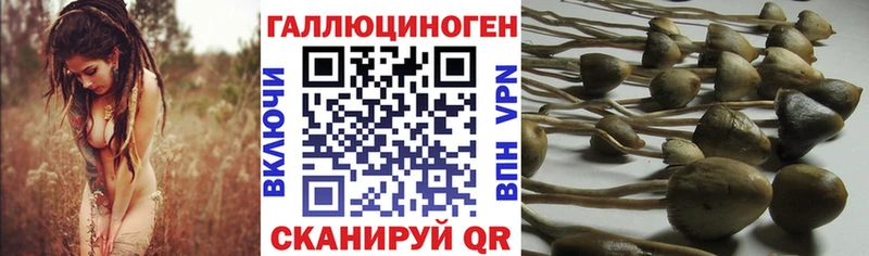 Псилоцибиновые грибы MAGIC MUSHROOMS  Купить  Надым 