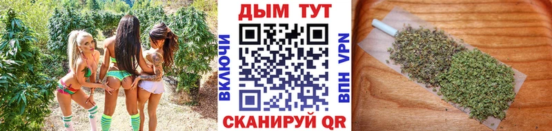 Купить где  Надым  МАРИХУАНА Amnesia 
